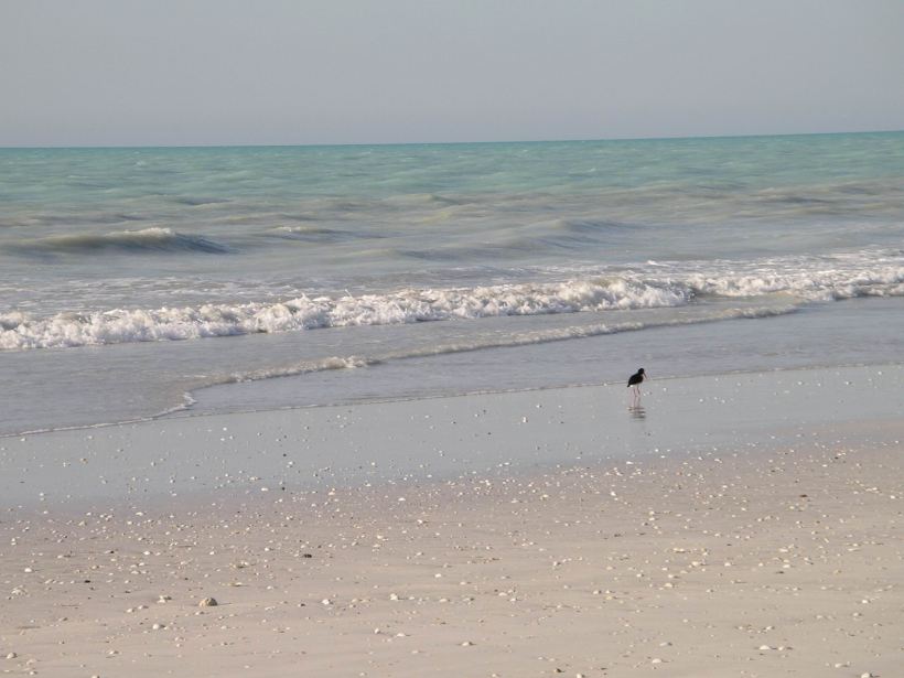 Resize of 10-15-2006 80 Mile Beach Sept2