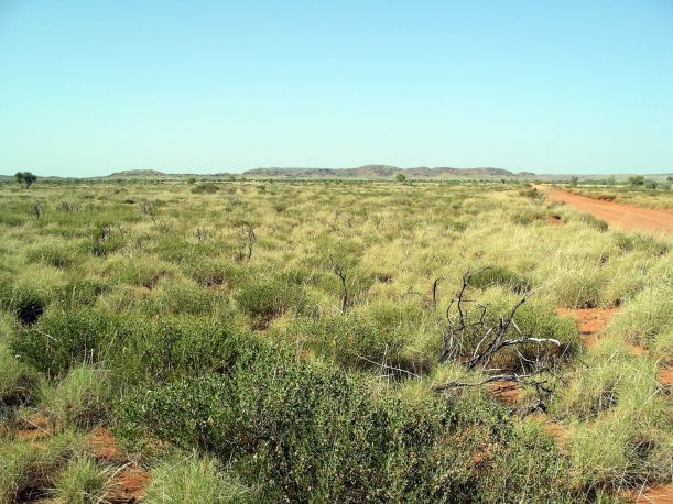 Resize of 10-15-2006 View from access track 3