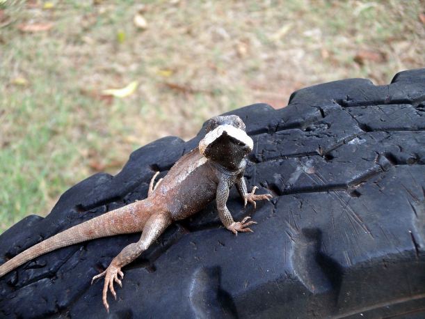 Resize of 10-19-2006 80 Mile bch monitor 2