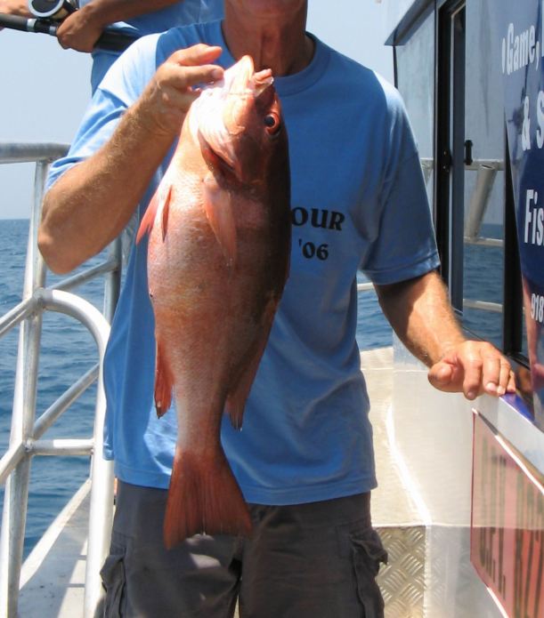 Resize of Wait till I tell Matt