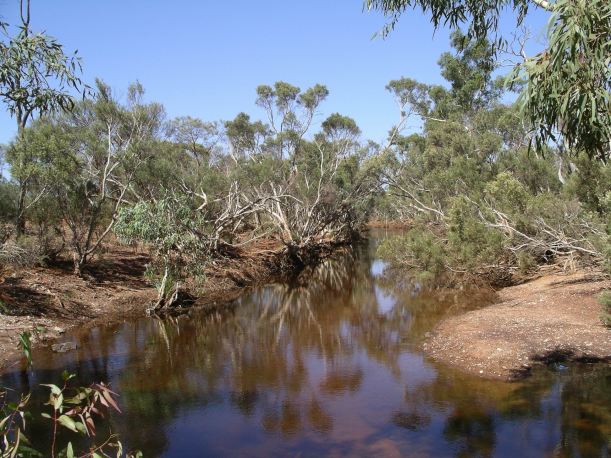 Resize of 12-06-2006 by a creek