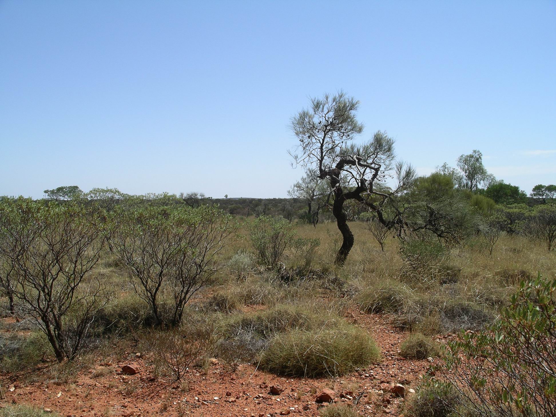 Resize of 12-06-2006 neds corner track 2