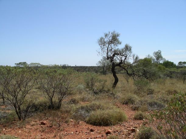 Resize of 12-06-2006 neds corner track 2