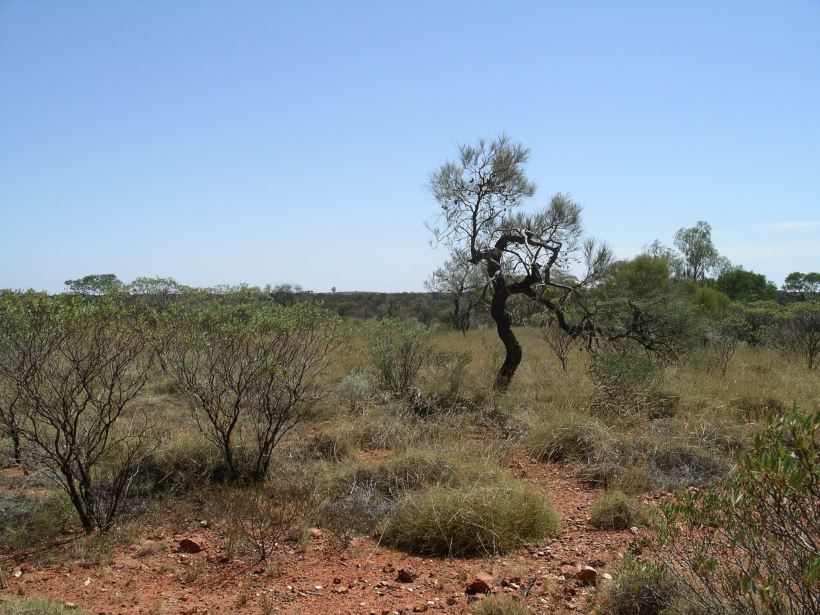 Resize of 12-06-2006 neds corner track 2