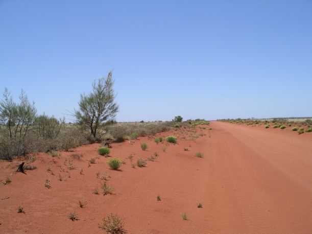 Resize of 12-06-2006 neds corner track 3
