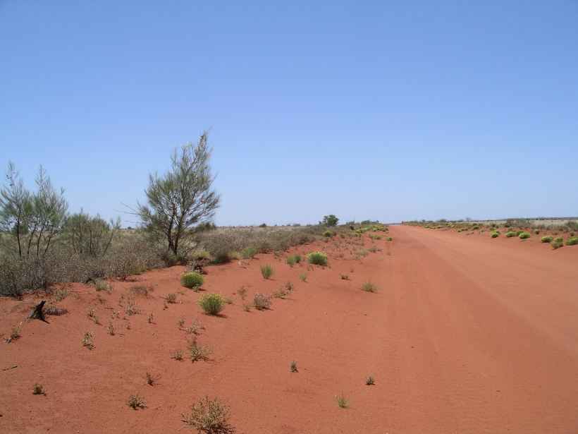 Resize of 12-06-2006 neds corner track 3