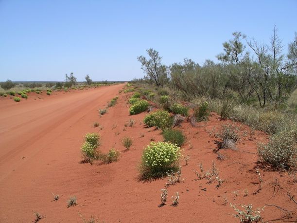 Resize of 12-06-2006 neds corner track 4