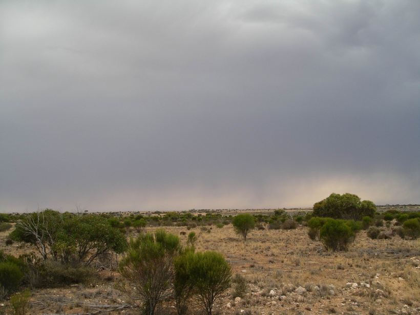Resize of 12-08-2006 nullarbor bushfire 1