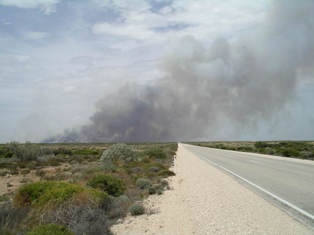 Resize of 12-08-2006 nullarbor bushfire 10