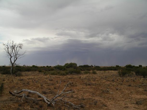 Resize of 12-08-2006 nullarbor bushfire 5