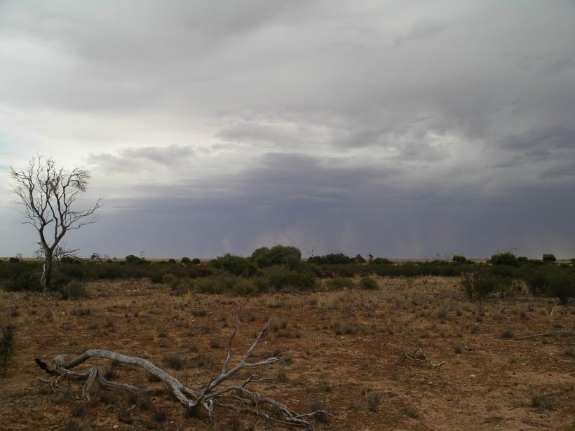 Resize of 12-08-2006 nullarbor bushfire 5