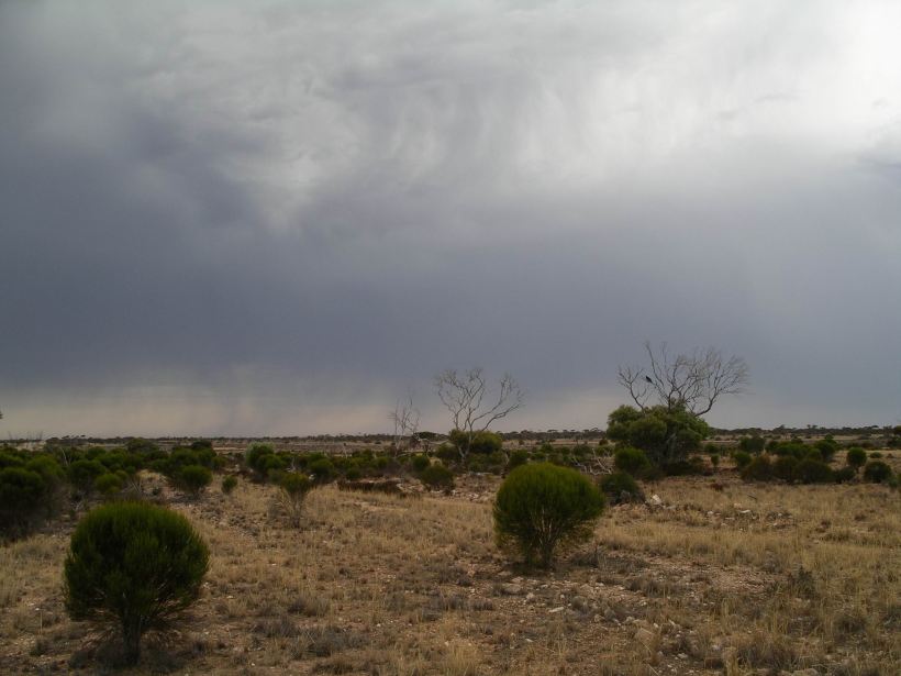 Resize of 12-08-2006 nullarbor bushfire 8